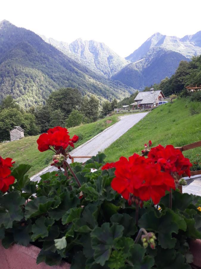 Casa All'Alpe Gaggetto B & B Anzino المظهر الخارجي الصورة
