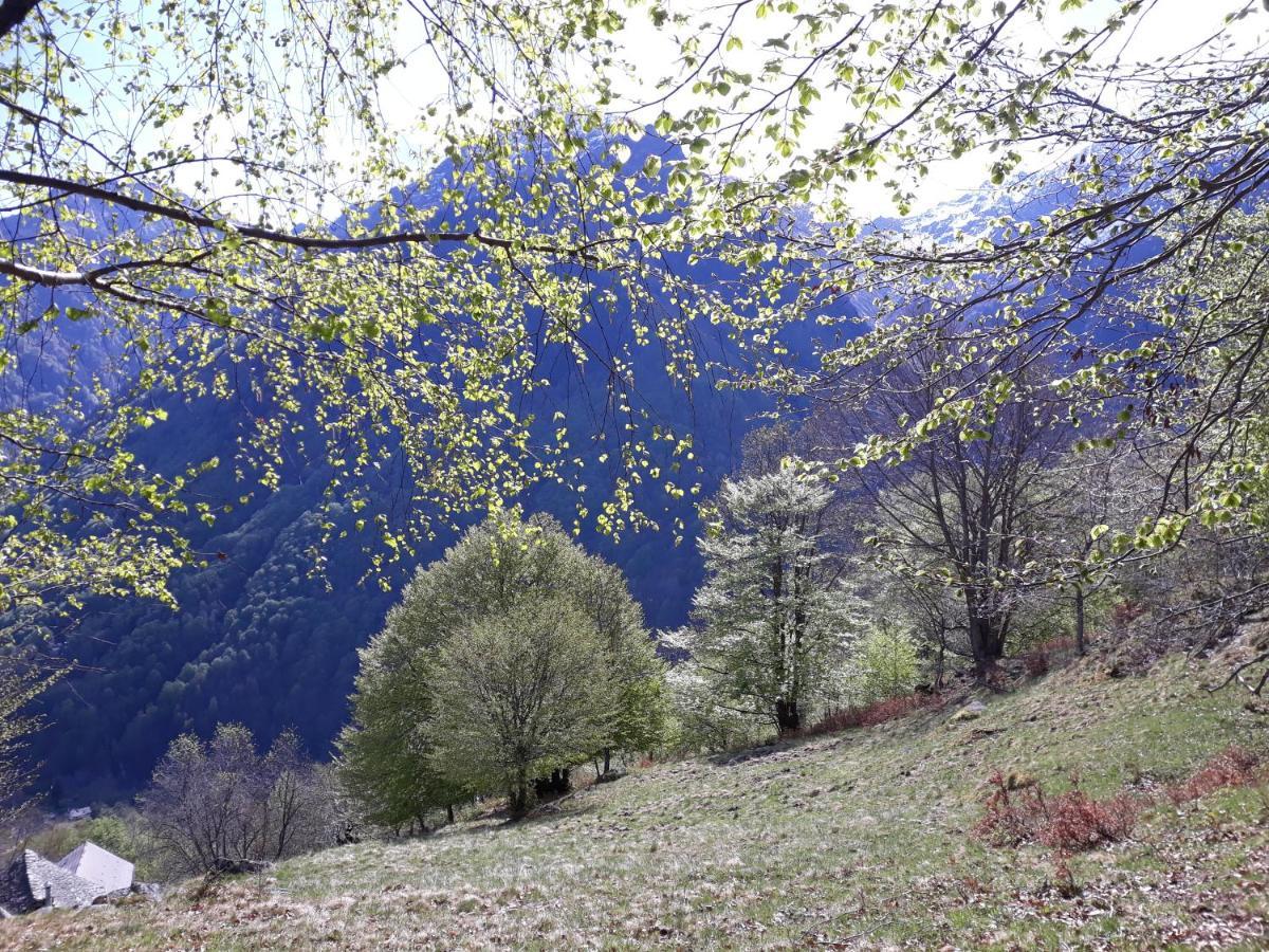 Casa All'Alpe Gaggetto B & B Anzino المظهر الخارجي الصورة