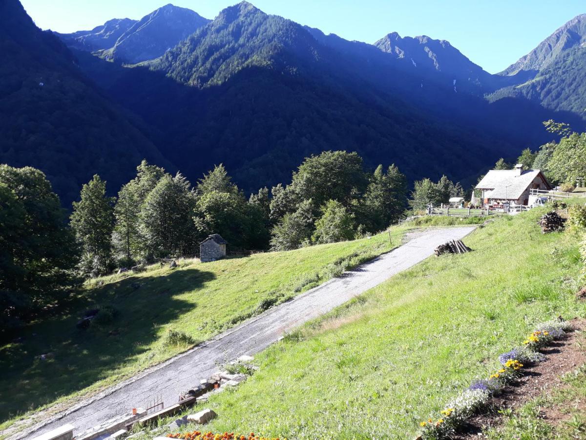 Casa All'Alpe Gaggetto B & B Anzino المظهر الخارجي الصورة