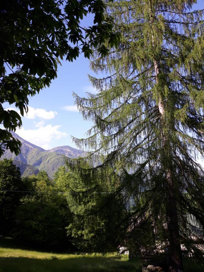 Casa All'Alpe Gaggetto B & B Anzino المظهر الخارجي الصورة