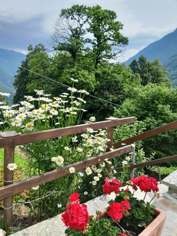 Casa All'Alpe Gaggetto B & B Anzino المظهر الخارجي الصورة