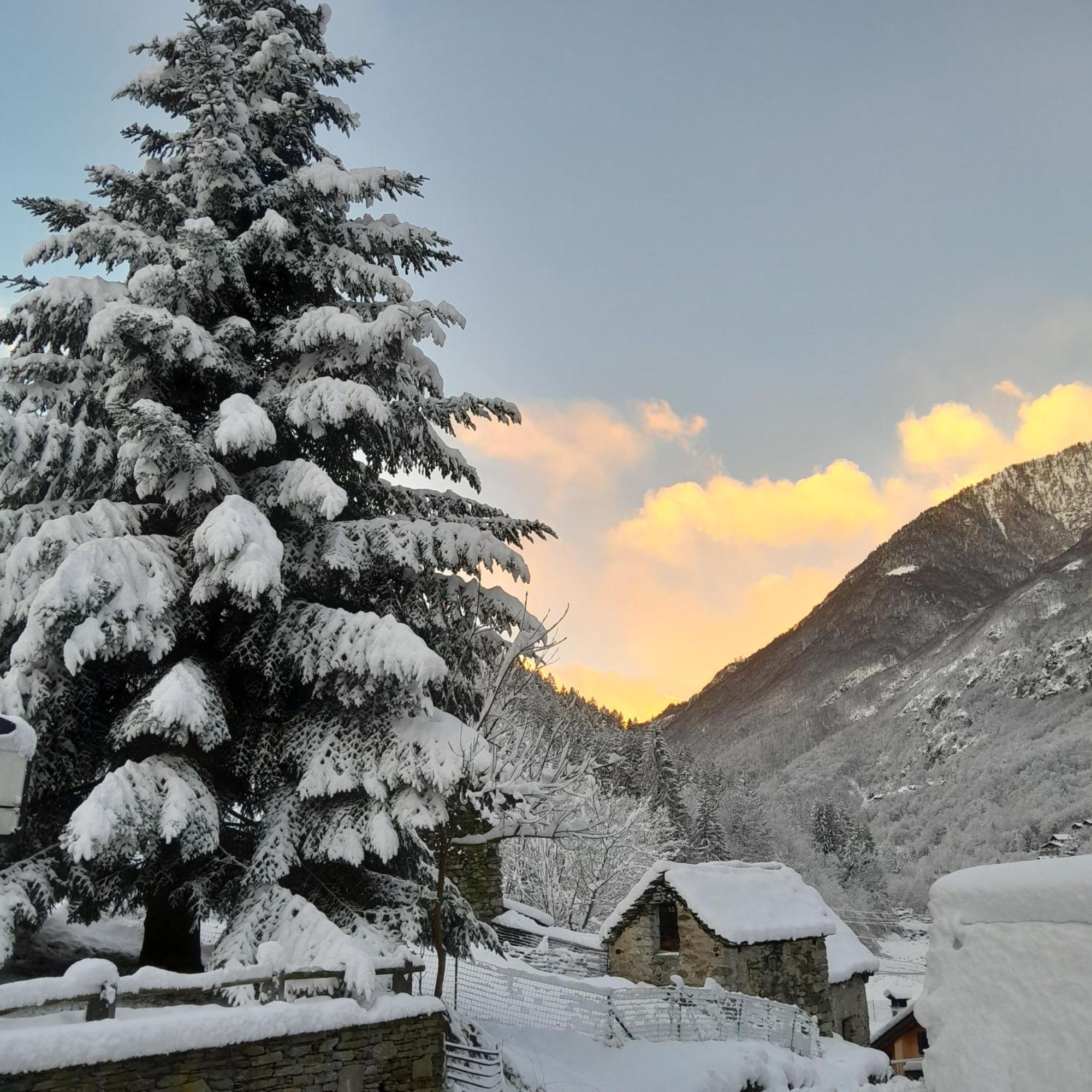 Casa All'Alpe Gaggetto B & B Anzino المظهر الخارجي الصورة